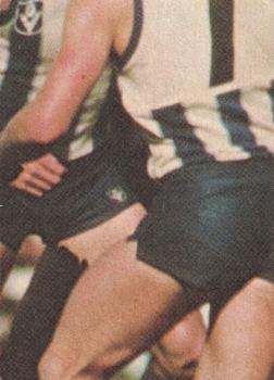 1977 Scanlens VFL #18 Stuart Trott Back
